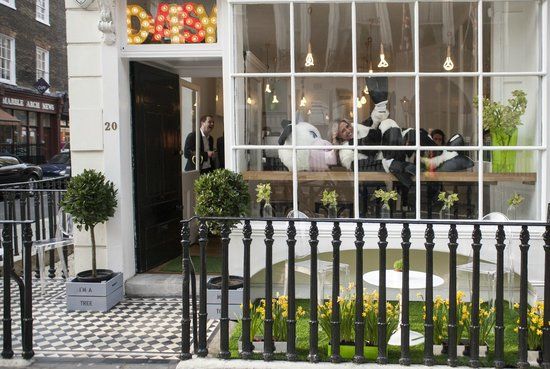 Daisy Green of Portman Village