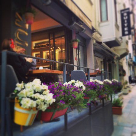 Cafe Bunk
