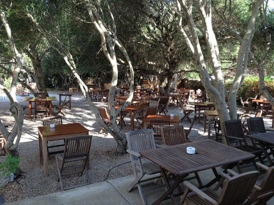 Gastronomy at Alcaufar Vell