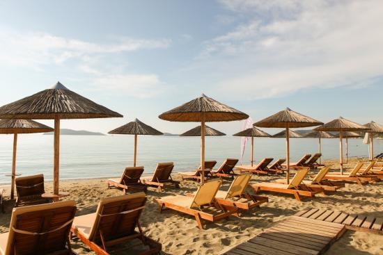 Swell Beach Bar