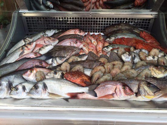 Terzi Mustafa'nIn Yeri