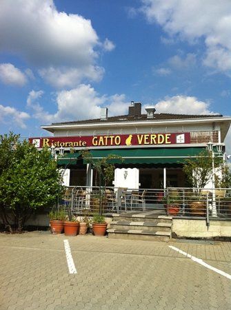 Gatto Verde