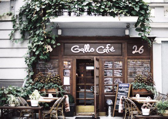 Gallo Cafe Kosher