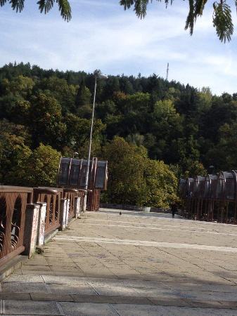 Park Baczinowo