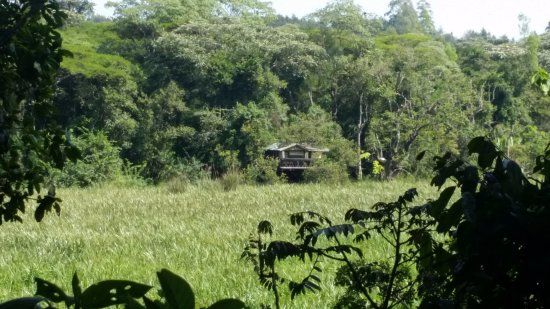 Saiwa Swamp National Park
