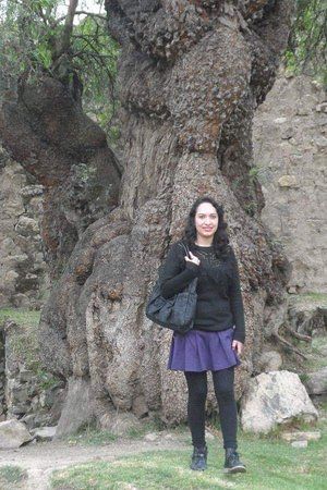 Huarivilca