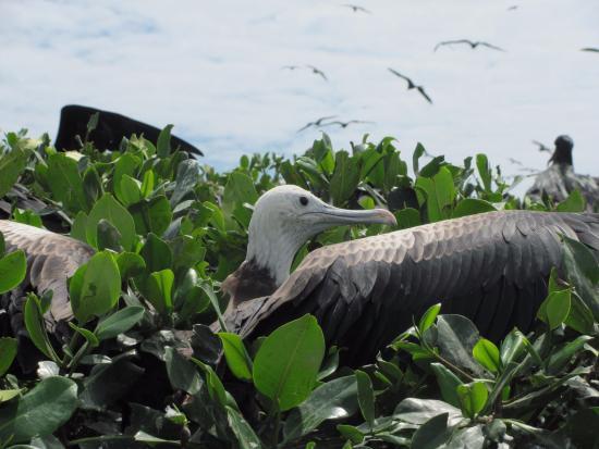 Santuario Nacional Manglares de Tumbes