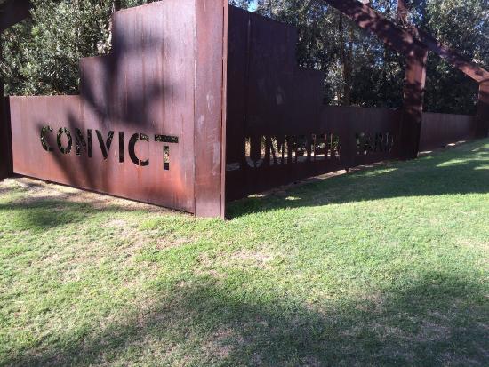 Convict Lumber Yard
