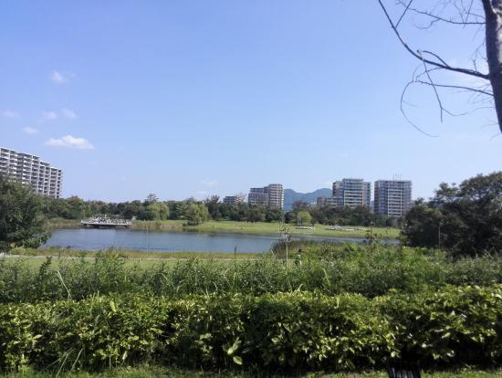 Island City Central Park