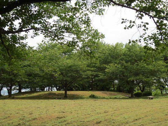 Shiroyama Ryokuchi Park