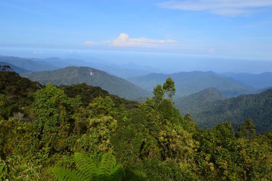 Gunung Brinchang