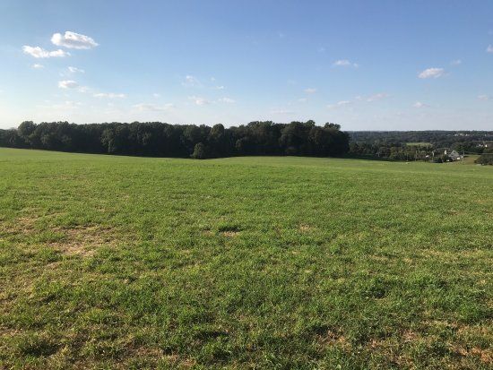 Sandy Hollow