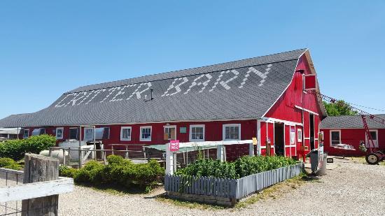 Critter Barn