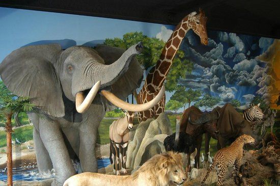 Western Union Building