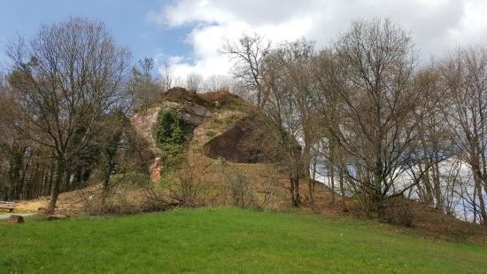 Lemberg Castle