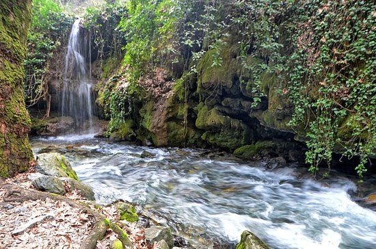 Pinarbasi Picnic Area