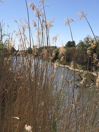 Soetdoring Nature Reserve