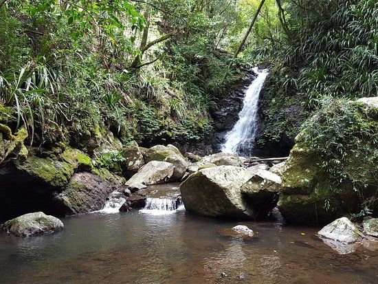 Lamington National Park