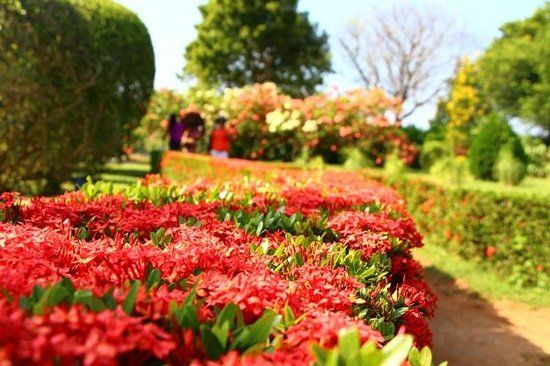 Mirijjawila Botanic Gardens