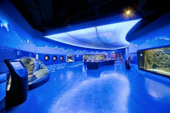 Acuario de Estambul