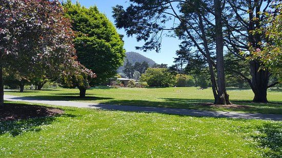 San Francisco Botaniske have