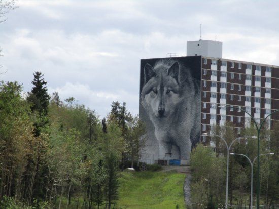 Wolf Mural
