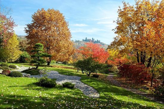 Botanischer Garten