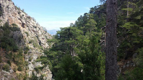 Gorges du Tavignano