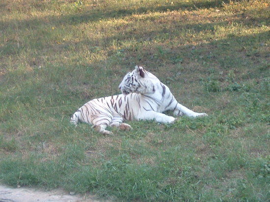 National Zoological Park of Delhi
