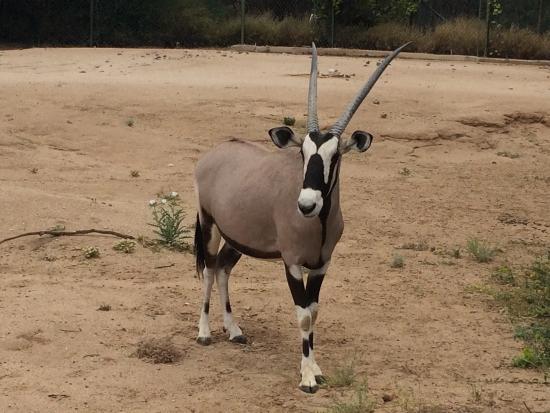 Centro Ecologico de Sonora
