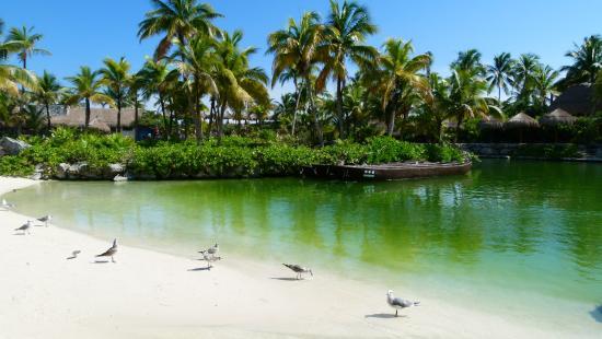 Akumal Ecological Center