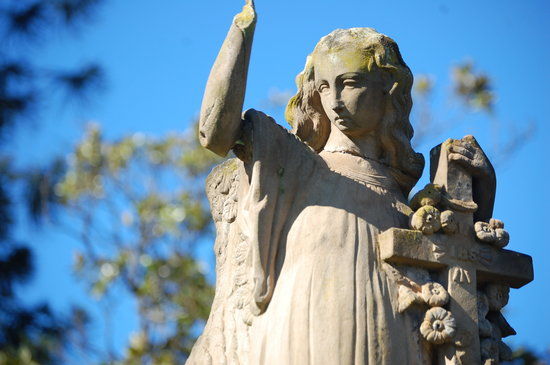 Rookwood Cemetery