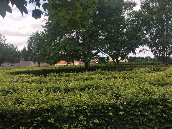 Tuborg Maze