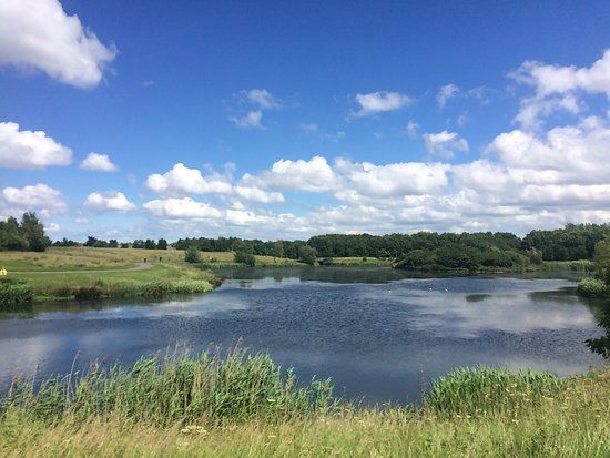 Tymon Park