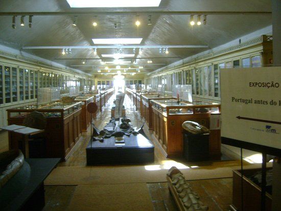 Musée géologique