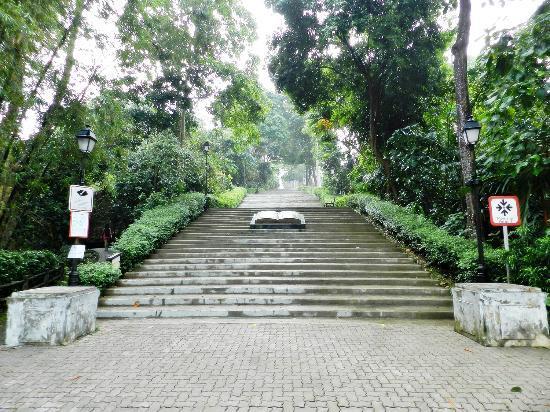 Bukit Batok Nature Park