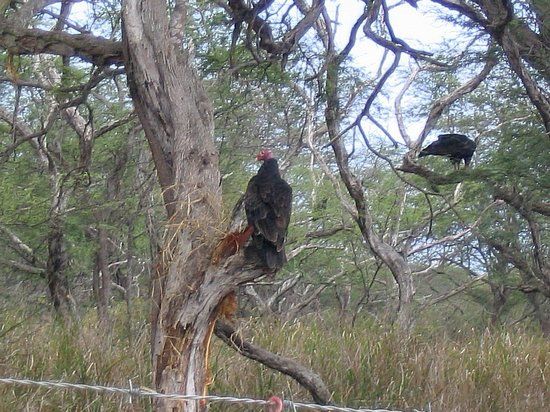Cabo Rojo National Wildlife Refuge