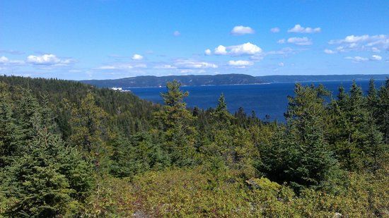 Boisee de la Pointe St-giles