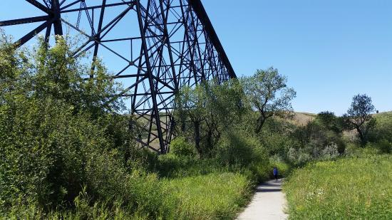 Helen Schuler Nature Centre
