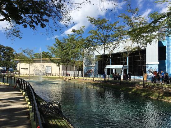 Pabellon Aeroespacial