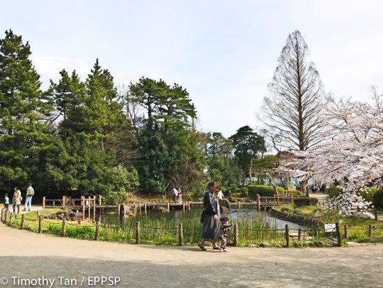 Parque Tetsugakudo