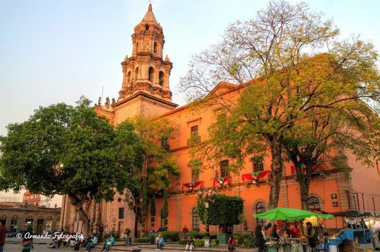 Jardín Hidalgo
