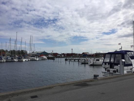 Hals Havn