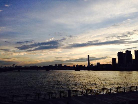Parque de Toyosu