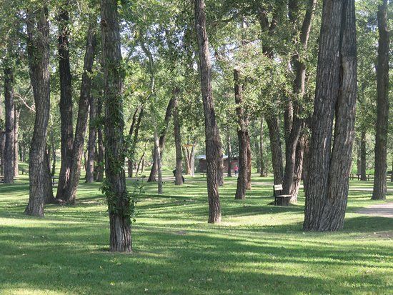 Pearce Estate Park
