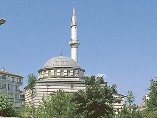 Selami Ali Camisi