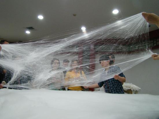 Beijing Dong Wu silk Museum