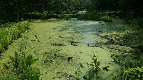 Pointe-aux-Prairies Nature Park