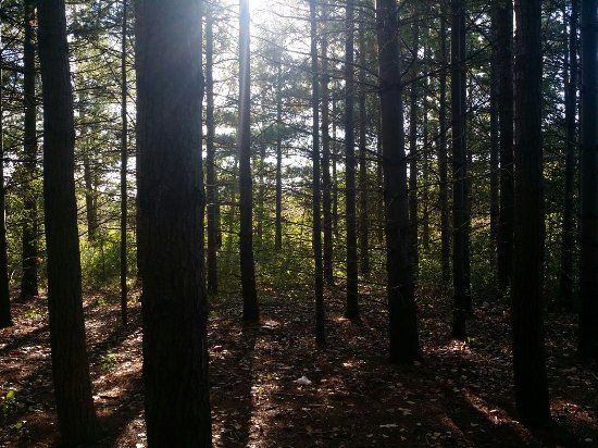 Claireville Conservation Area