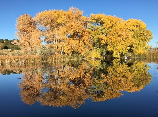Leonora Curtin Wetland Preserve
